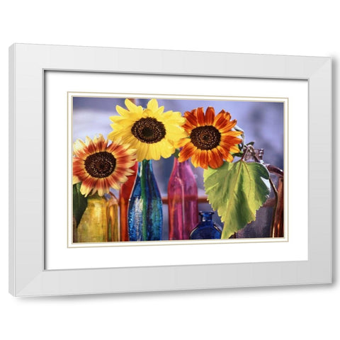 USA, Washington, Bellingham White Modern Wood Framed Art Print with Double Matting by Satushek, Steve