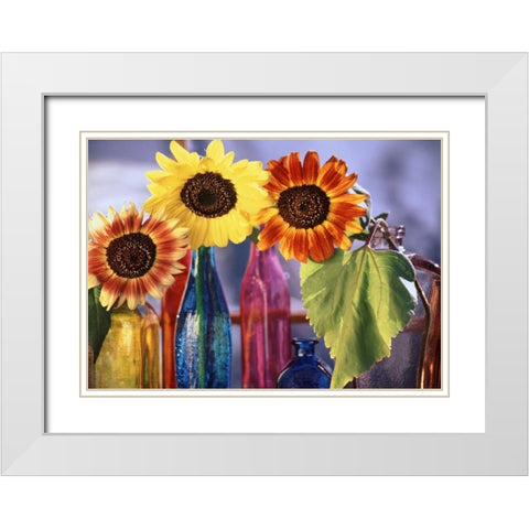 USA, Washington, Bellingham White Modern Wood Framed Art Print with Double Matting by Satushek, Steve