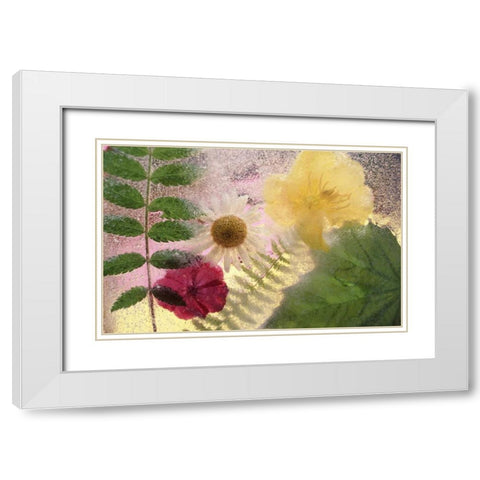 USA, Washington, Bellingham White Modern Wood Framed Art Print with Double Matting by Satushek, Steve