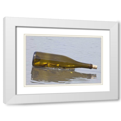 WA, Olympic NP Message in a bottle on shore White Modern Wood Framed Art Print with Double Matting by Paulson, Don