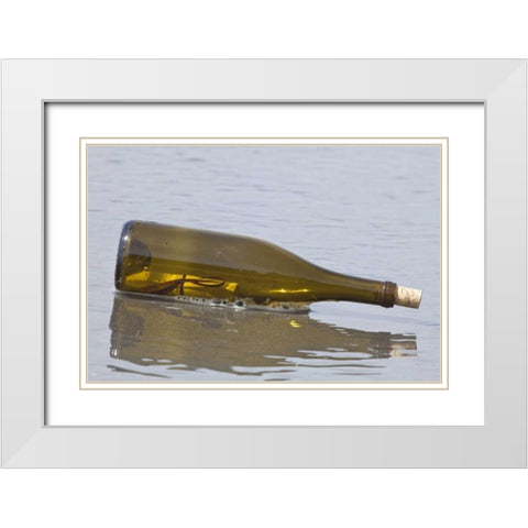 WA, Olympic NP Message in a bottle on shore White Modern Wood Framed Art Print with Double Matting by Paulson, Don