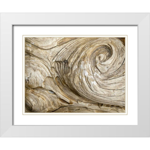 USA, Washington Close-up of swirled wood grain White Modern Wood Framed Art Print with Double Matting by Paulson, Don