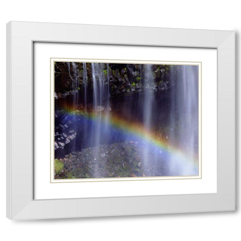 WA, Mount Rainer NP Rainbow at a waterfall White Modern Wood Framed Art Print with Double Matting by Talbot Frank, Christopher