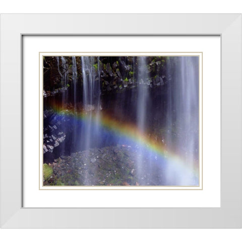 WA, Mount Rainer NP Rainbow at a waterfall White Modern Wood Framed Art Print with Double Matting by Talbot Frank, Christopher