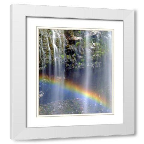 WA, Mount Rainer NP Rainbow at a waterfall White Modern Wood Framed Art Print with Double Matting by Talbot Frank, Christopher