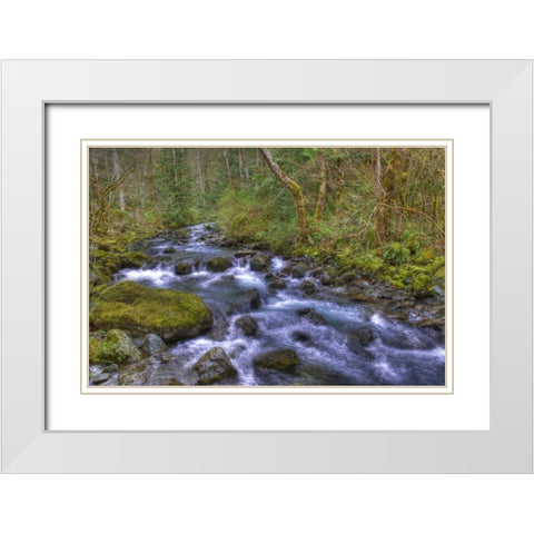 WA, Rocky Brook Falls Stream cascades over rocks White Modern Wood Framed Art Print with Double Matting by Shimlock, Jones