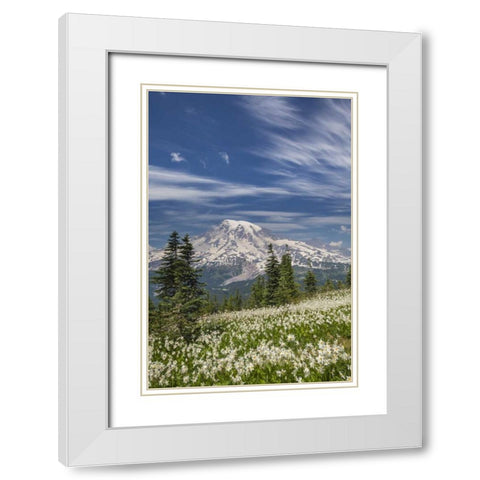 Washington Avalanche lilies and Mount Rainier White Modern Wood Framed Art Print with Double Matting by Paulson, Don