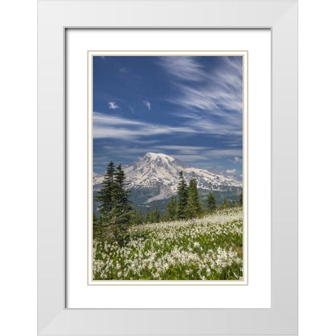 Washington Avalanche lilies and Mount Rainier White Modern Wood Framed Art Print with Double Matting by Paulson, Don