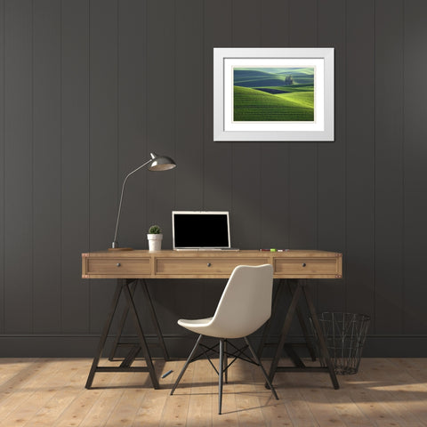 WA, Steptoe Butte Rolling green Palouse hills White Modern Wood Framed Art Print with Double Matting by Flaherty, Dennis