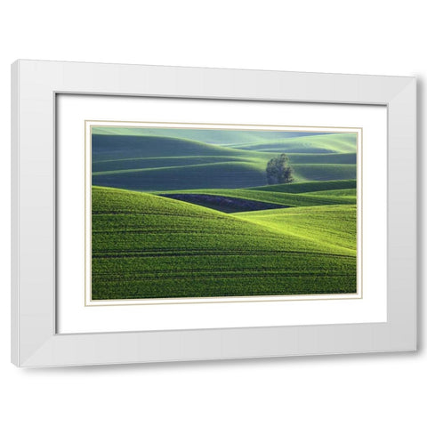 WA, Steptoe Butte Rolling green Palouse hills White Modern Wood Framed Art Print with Double Matting by Flaherty, Dennis