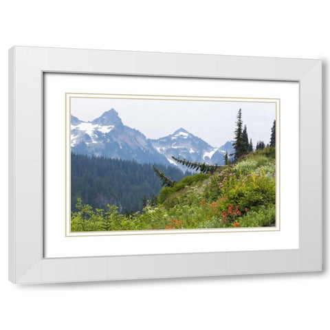WA Alpine meadow and Tatoosh Range White Modern Wood Framed Art Print with Double Matting by Paulson, Don