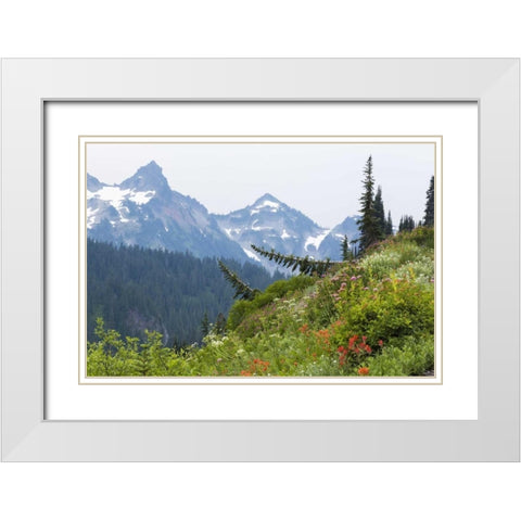 WA Alpine meadow and Tatoosh Range White Modern Wood Framed Art Print with Double Matting by Paulson, Don