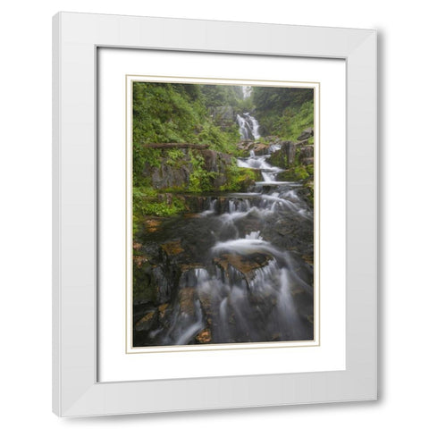 WA, Mount Rainier NP Cascades on Sunbeam Creek White Modern Wood Framed Art Print with Double Matting by Paulson, Don