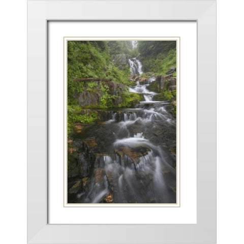 WA, Mount Rainier NP Cascades on Sunbeam Creek White Modern Wood Framed Art Print with Double Matting by Paulson, Don