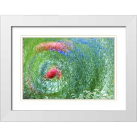 WA, Whidbey Isl Montage of flowers and greenery White Modern Wood Framed Art Print with Double Matting by Bush, Marie