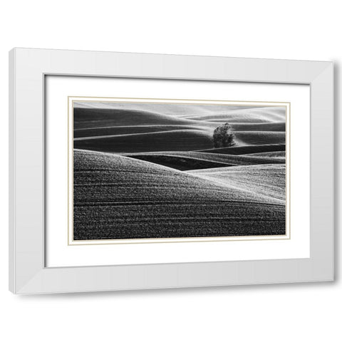 USA, Washington Farm country near Steptoe Butte White Modern Wood Framed Art Print with Double Matting by Flaherty, Dennis