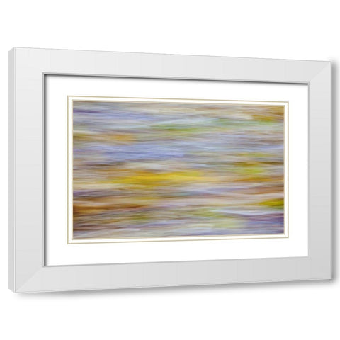 WA, Seabeck Motion blur of fall leaves on beach White Modern Wood Framed Art Print with Double Matting by Paulson, Don