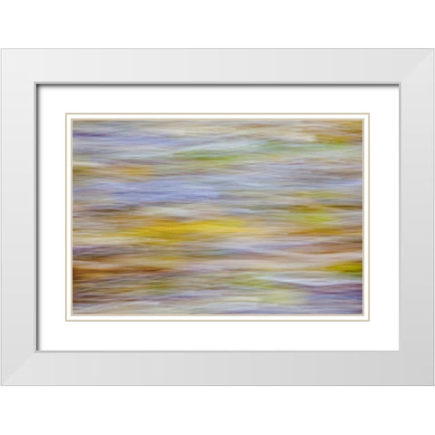 WA, Seabeck Motion blur of fall leaves on beach White Modern Wood Framed Art Print with Double Matting by Paulson, Don