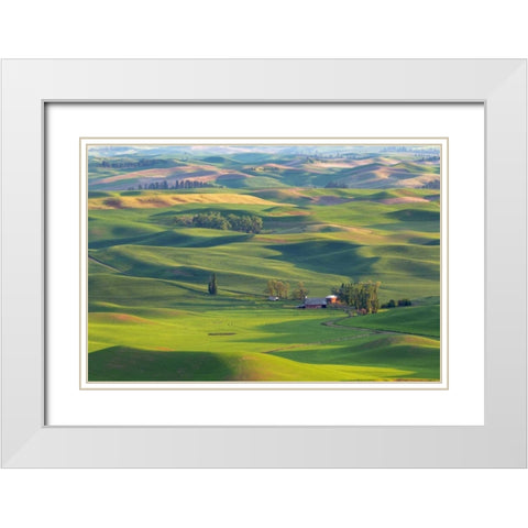 WA, Palouse Hills Farmland from Steptoe Butte White Modern Wood Framed Art Print with Double Matting by Paulson, Don