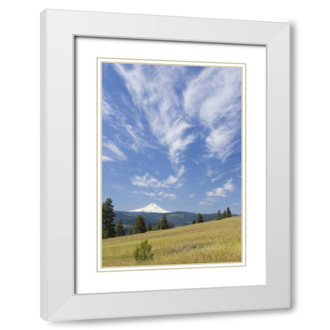 WA, Columbia River Gorge Summer meadow landscape White Modern Wood Framed Art Print with Double Matting by Paulson, Don