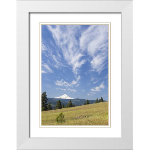 WA, Columbia River Gorge Summer meadow landscape White Modern Wood Framed Art Print with Double Matting by Paulson, Don