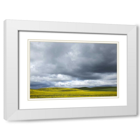 WA, Palouse Canola field on a stormy day White Modern Wood Framed Art Print with Double Matting by Flaherty, Dennis