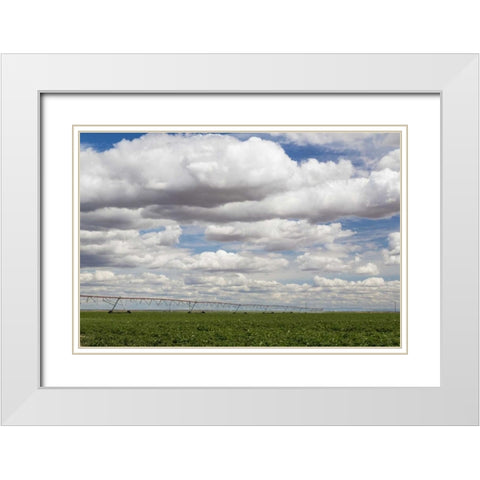 WA, Connell Irrigation device in farm field White Modern Wood Framed Art Print with Double Matting by Paulson, Don