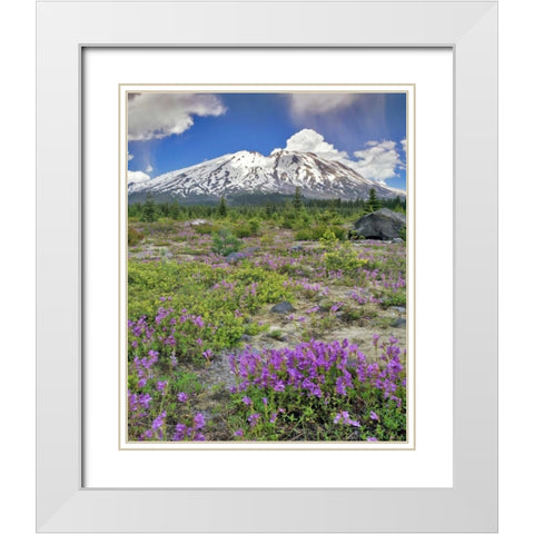 WA, Gifford Pinchot NF Mount St Helens landscape White Modern Wood Framed Art Print with Double Matting by Terrill, Steve