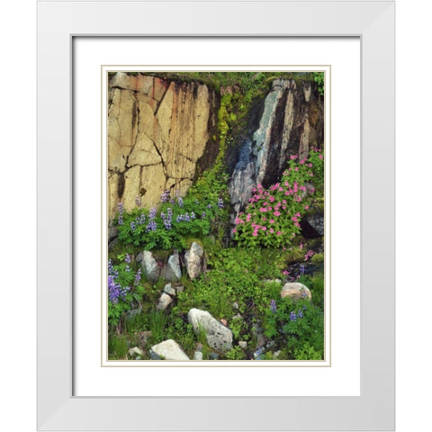 WA, Mount Rainier NP Lupine and monkey flower White Modern Wood Framed Art Print with Double Matting by Terrill, Steve