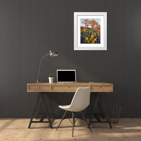 WA, Balsamroot, lupine, and oaks on hillside White Modern Wood Framed Art Print with Double Matting by Terrill, Steve