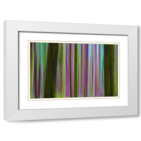 Washington Abstract of Hoh Rain Forest at dusk White Modern Wood Framed Art Print with Double Matting by Delisle, Gilles