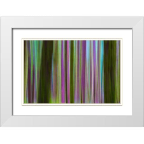Washington Abstract of Hoh Rain Forest at dusk White Modern Wood Framed Art Print with Double Matting by Delisle, Gilles