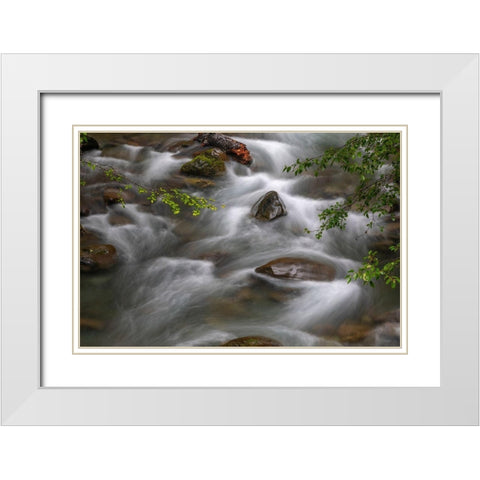 Washington State-Olympic National Park Dungeness River rapids  White Modern Wood Framed Art Print with Double Matting by Jaynes Gallery