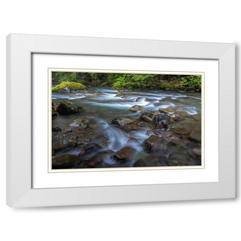 Washington State-Olympic National Park Dungeness River rapids  White Modern Wood Framed Art Print with Double Matting by Jaynes Gallery