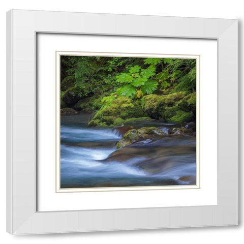 Washington State-Olympic National Park Dungeness River rapids  White Modern Wood Framed Art Print with Double Matting by Jaynes Gallery