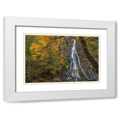 Washington State-Olympic National Forest Rocky Brook Falls and forest  White Modern Wood Framed Art Print with Double Matting by Jaynes Gallery