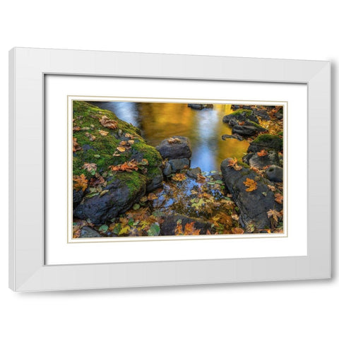 Washington State-Olympic National Forest Reflections of autumn in Rocky Creek  White Modern Wood Framed Art Print with Double Matting by Jaynes Gallery