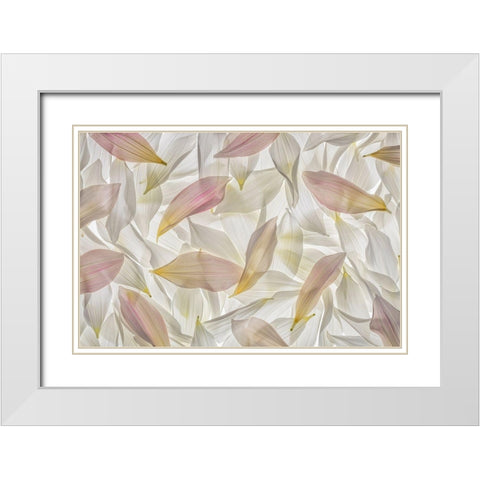 Dahlia Petals  White Modern Wood Framed Art Print with Double Matting by Jaynes Gallery