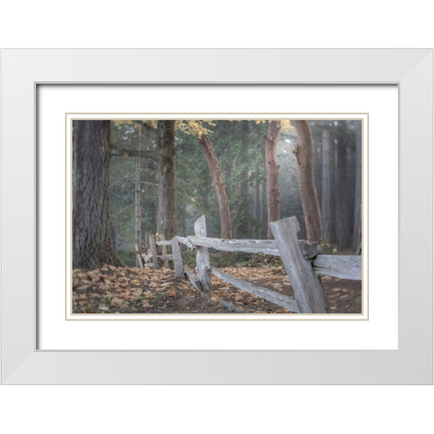 Washington State-Seabeck Split-rail fence and forest  White Modern Wood Framed Art Print with Double Matting by Jaynes Gallery