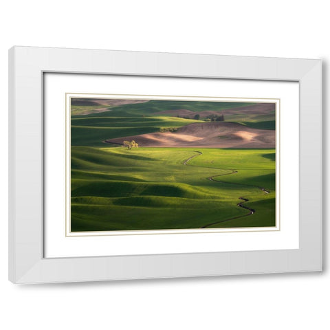USA-Washington-Palouse-Rolling spring wheat fields White Modern Wood Framed Art Print with Double Matting by Jaynes Gallery