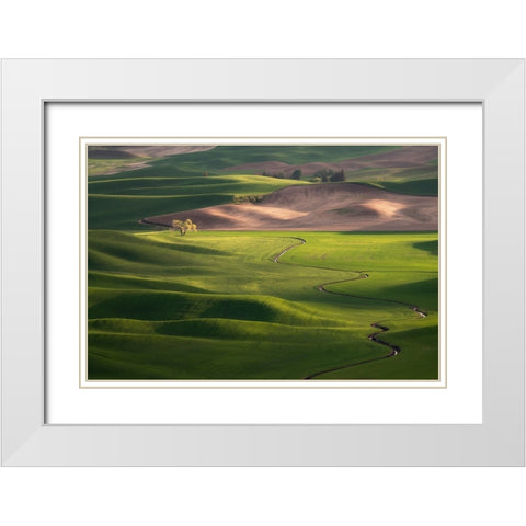 USA-Washington-Palouse-Rolling spring wheat fields White Modern Wood Framed Art Print with Double Matting by Jaynes Gallery