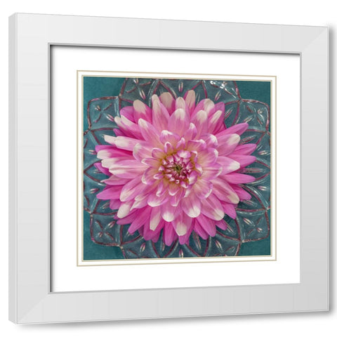 USA-Washington State-Seabeck Pink dahlia in crystal bowl White Modern Wood Framed Art Print with Double Matting by Jaynes Gallery