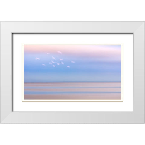 USA-Washington State-Seabeck Pastel sunrise panoramic over Hood Canal White Modern Wood Framed Art Print with Double Matting by Jaynes Gallery