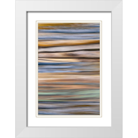 USA-Washington State-Seabeck Abstract of tree trunk and limbs White Modern Wood Framed Art Print with Double Matting by Jaynes Gallery