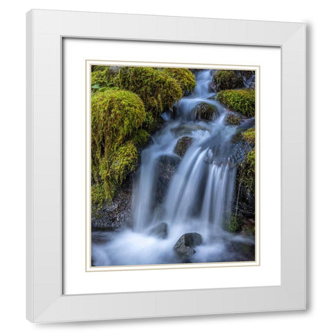 USA-Washington State-Olympic National Park Cedar Creek cascades through moss- covered boulders White Modern Wood Framed Art Print with Double Matting by Jaynes Gallery