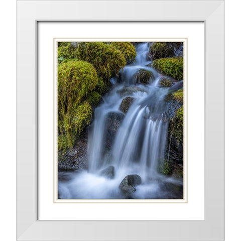 USA-Washington State-Olympic National Park Cedar Creek cascades through moss- covered boulders White Modern Wood Framed Art Print with Double Matting by Jaynes Gallery