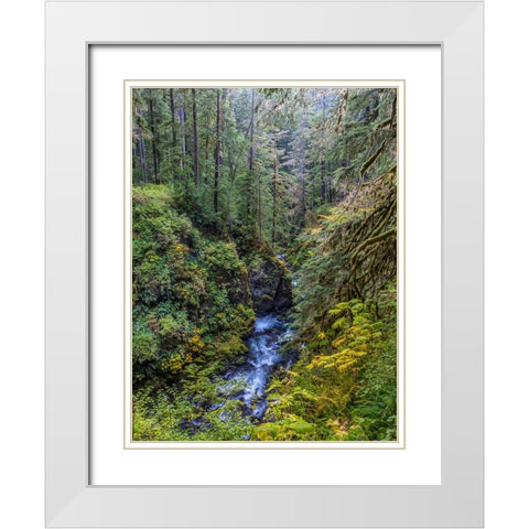USA-Washington State-Olympic National Park The Sol Duc River runs through forest White Modern Wood Framed Art Print with Double Matting by Jaynes Gallery