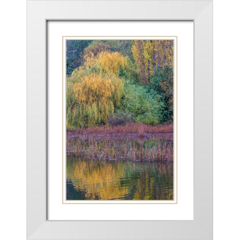 USA- Washington State- Seabeck. Saltwater marsh in autumn. White Modern Wood Framed Art Print with Double Matting by Jaynes Gallery