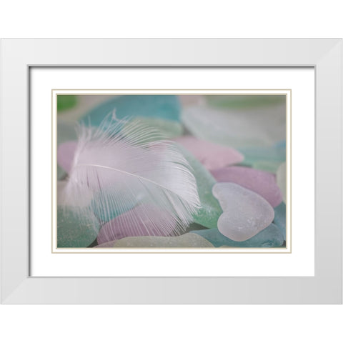 USA- Washington State- Seabeck. Feather and beach glass close-up. White Modern Wood Framed Art Print with Double Matting by Jaynes Gallery