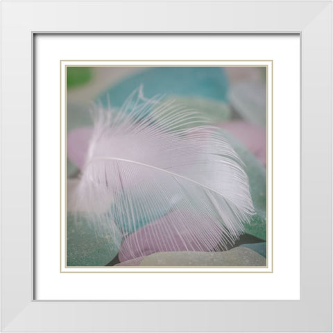 USA- Washington State- Seabeck. Feather and beach glass close-up. White Modern Wood Framed Art Print with Double Matting by Jaynes Gallery